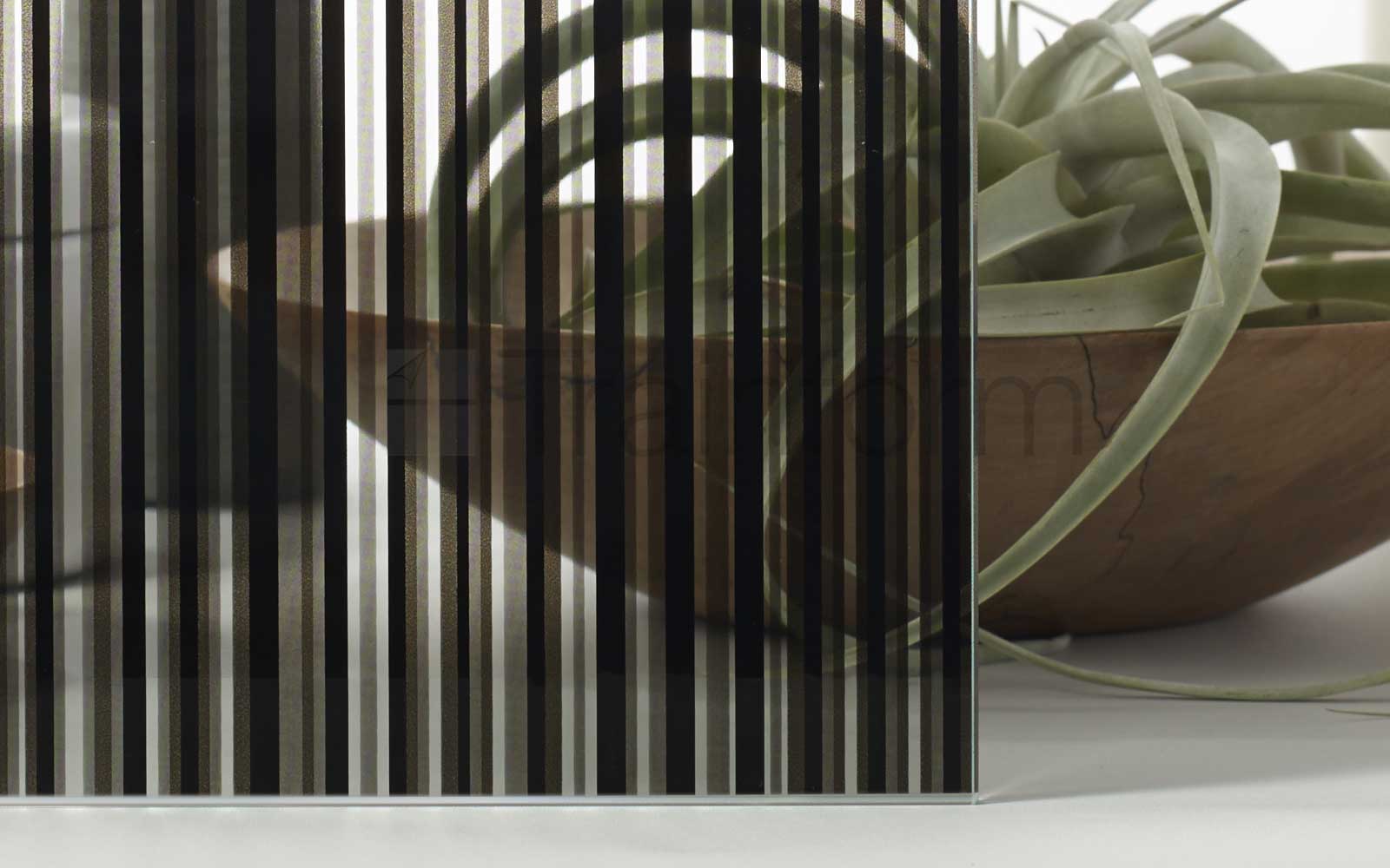 Pellicola privacy per vetri Arpa Black