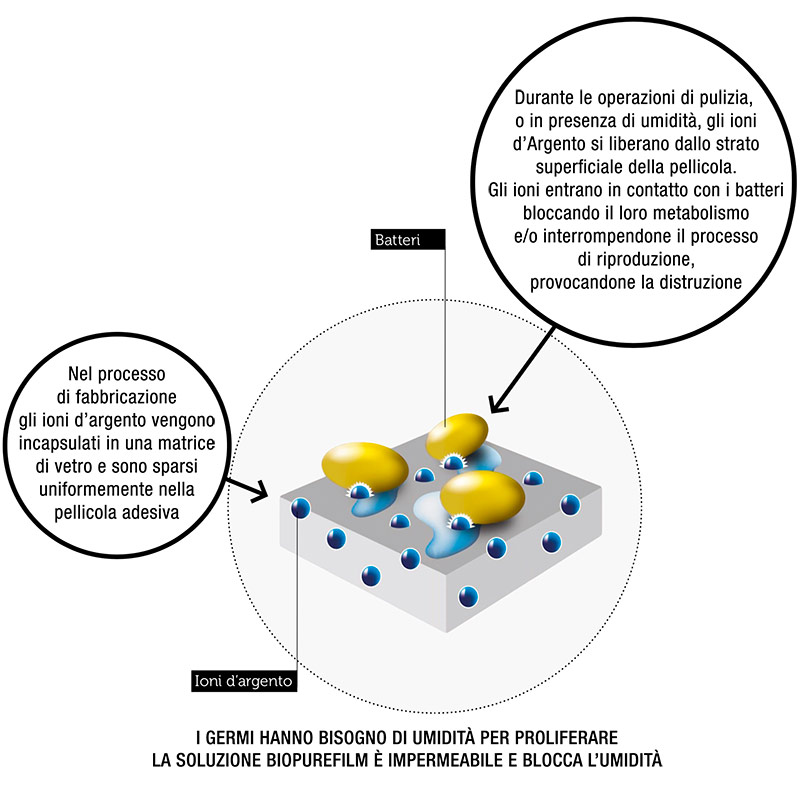processo di funzionamento della pellicola antibatterica